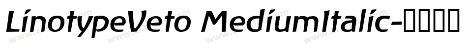 LinotypeVeto MediumItalic字体转换